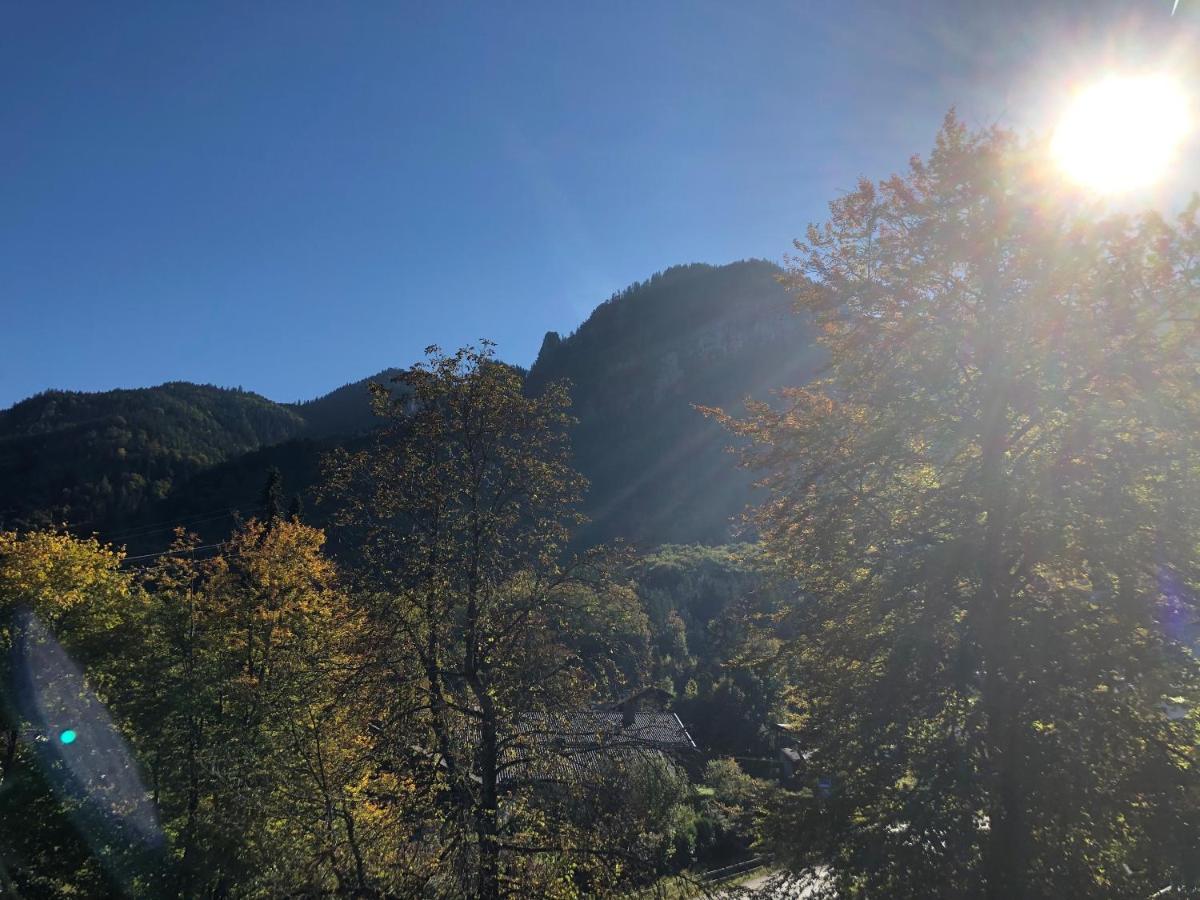 Top-Appartement Direkt An Der Kampenwandbahn Aschau im Chiemgau Exteriör bild